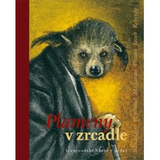 PLAMENY V ZRCADLE