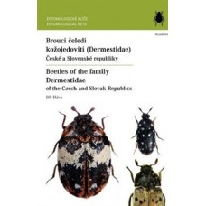 BROUCI ČELEDI KOŽOJEDOVITÍ