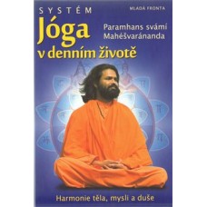 SYSTÉM JÓGA V DENNÍM ŽIVOTĚ