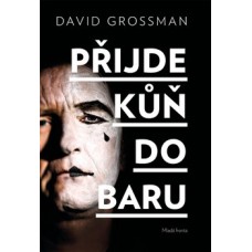 PŘIJDE KŮŇ DO BARU